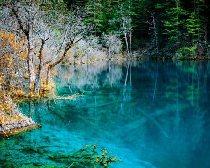 逆水寒