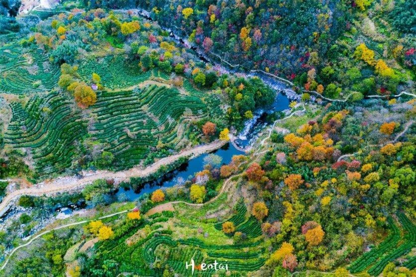三峡人寿第五大股东拟出清所持股权