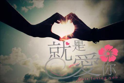 小长颈鹿逃离
